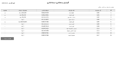 گزارش بدهکاری بستانکاری